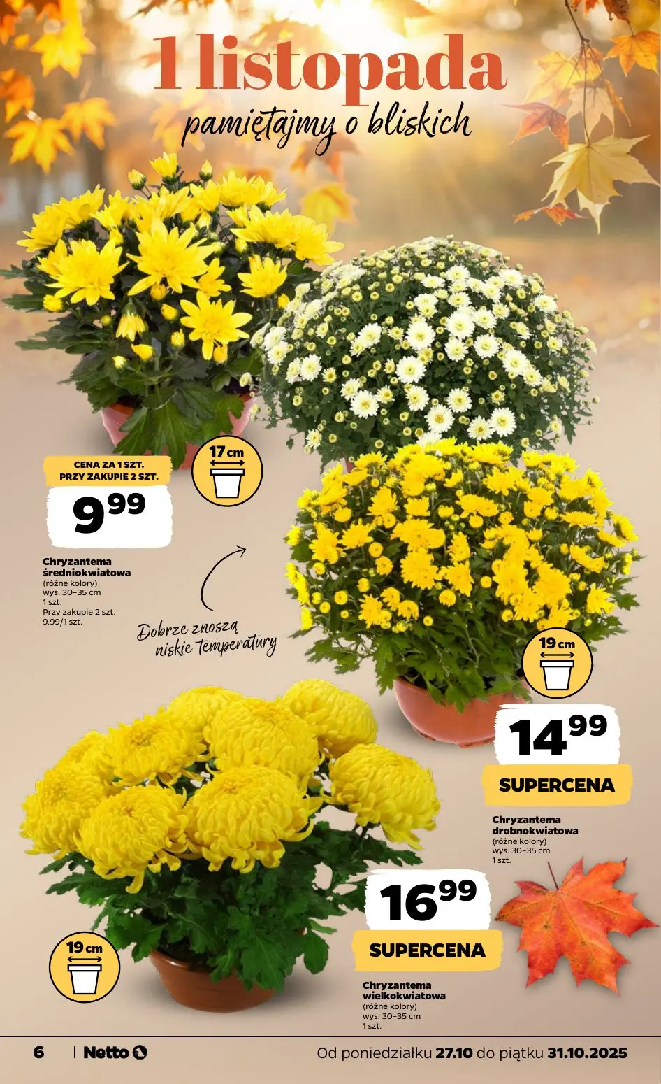 gazetka promocyjna NETTO Od poniedziałku - Strona 6
