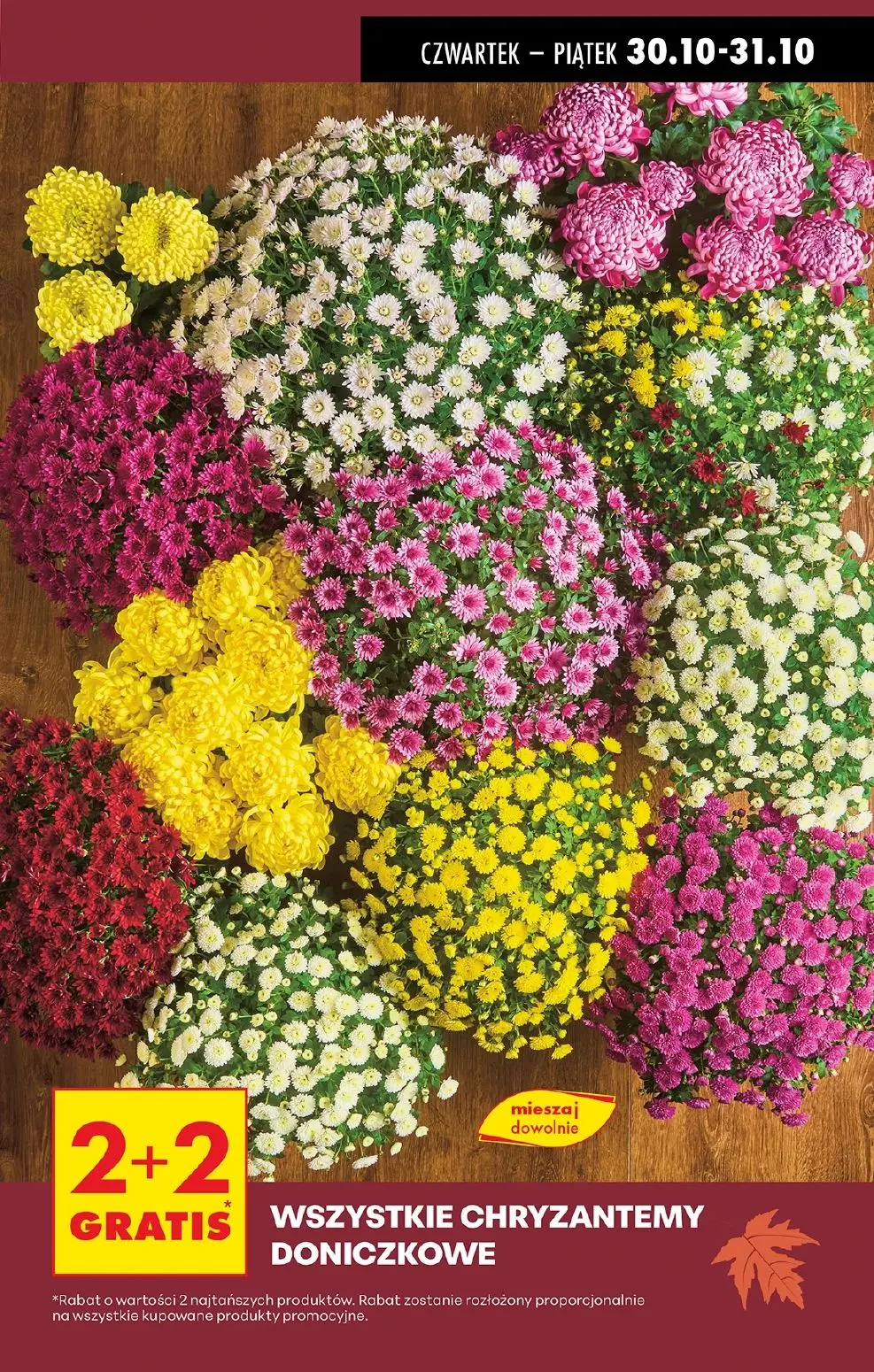 gazetka promocyjna Biedronka Specjalna oferta - Strona 3