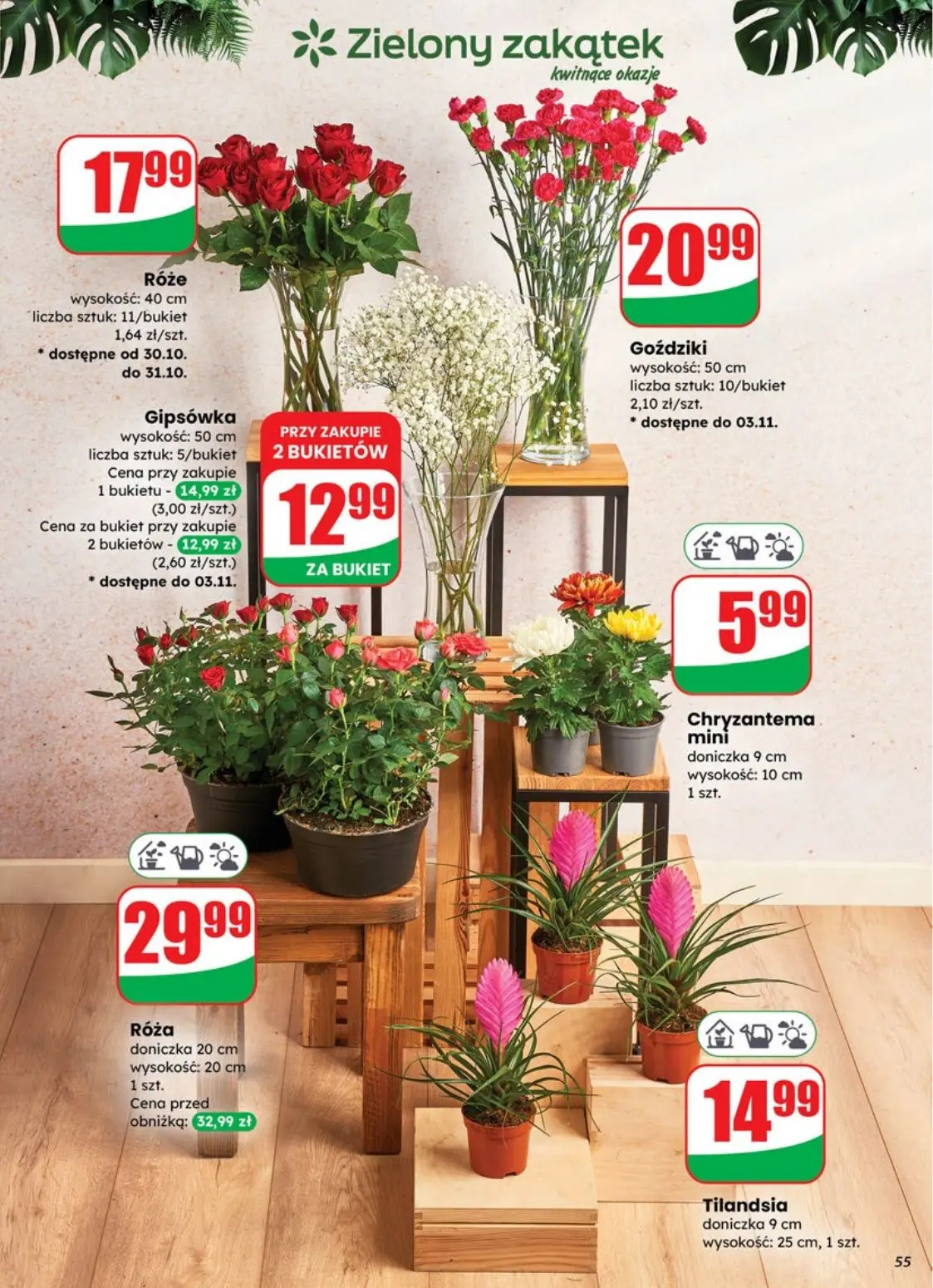 gazetka promocyjna dino Markety czynne dłużej - Strona 55