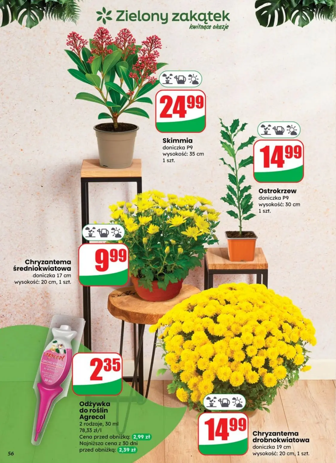 gazetka promocyjna dino Markety czynne dłużej - Strona 56