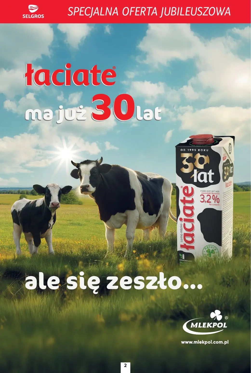 gazetka promocyjna SELGROS Specjalna Oferta Jubileuszowa - Strona 2