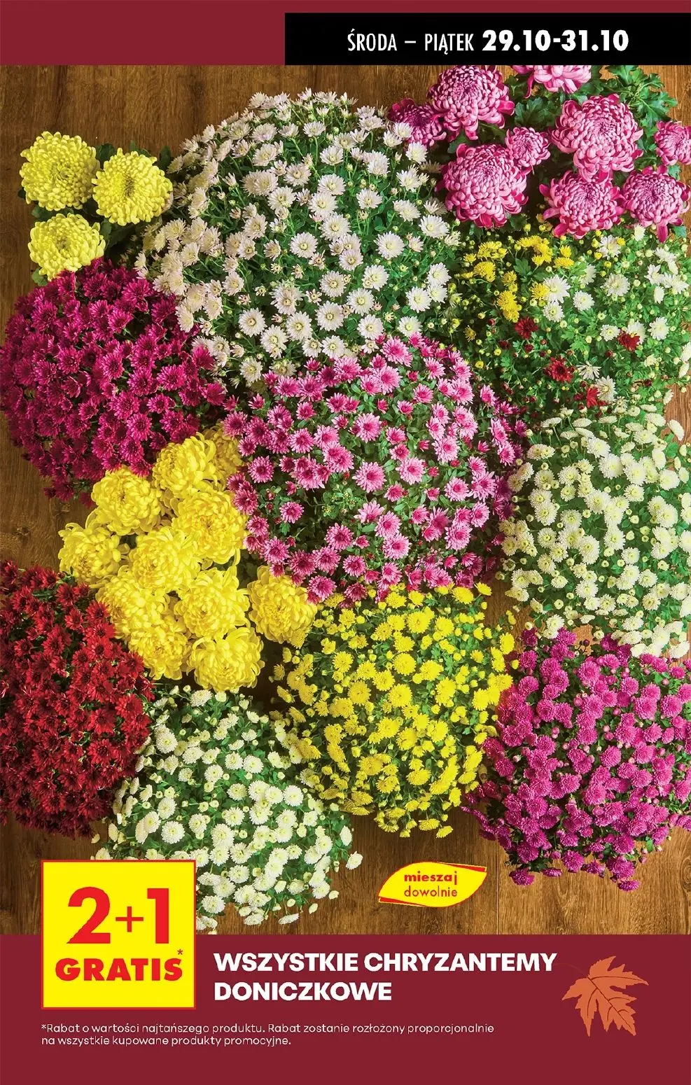 gazetka promocyjna Biedronka Od środy - Strona 19