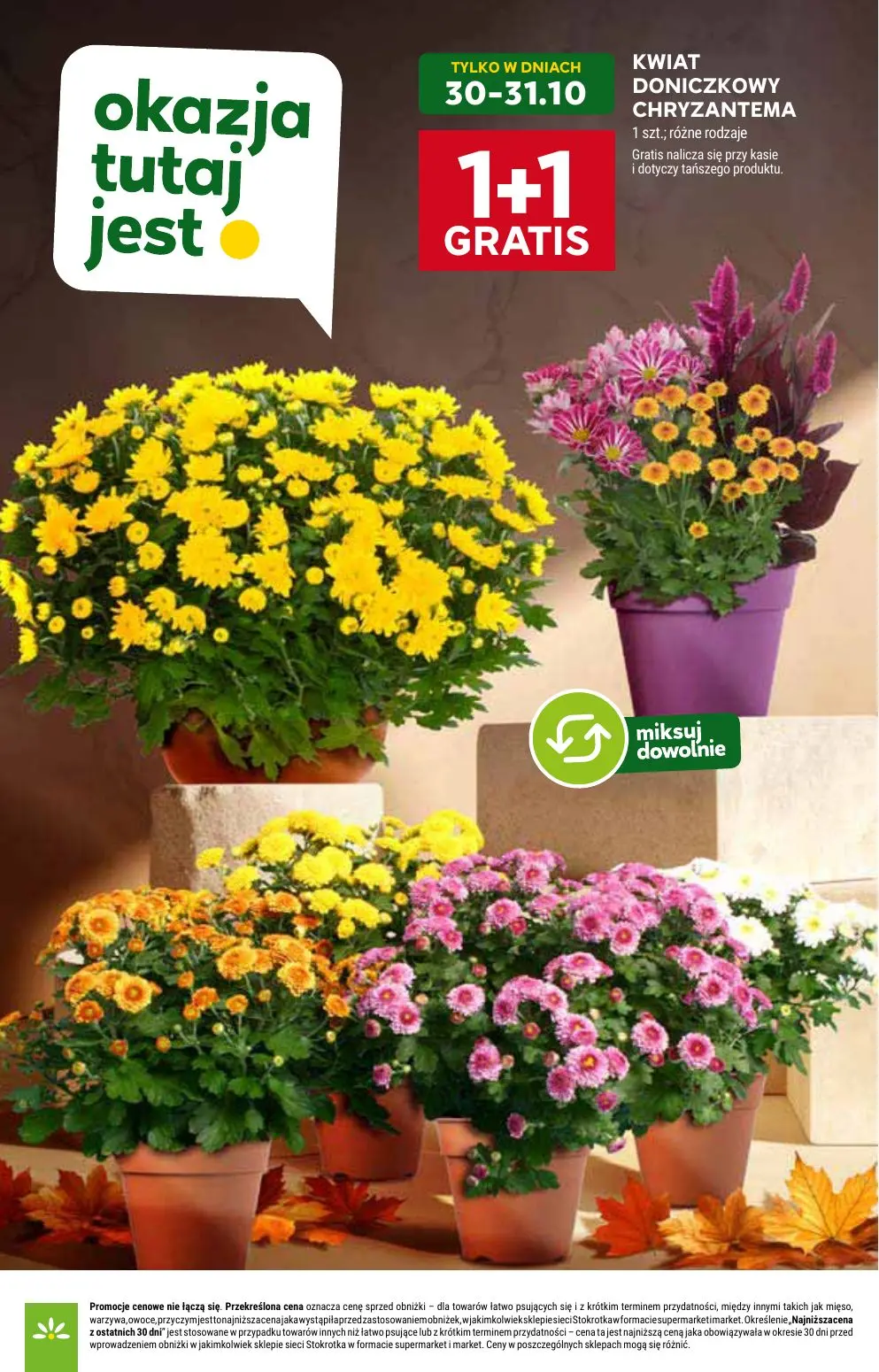 gazetka promocyjna Stokrotka Market Od czwartku - Strona 6