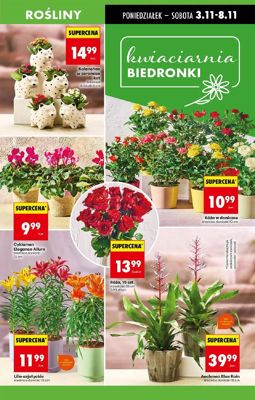 gazetka promocyjna Biedronka Lada tradycyjna. Od poniedziałku  - Strona 17