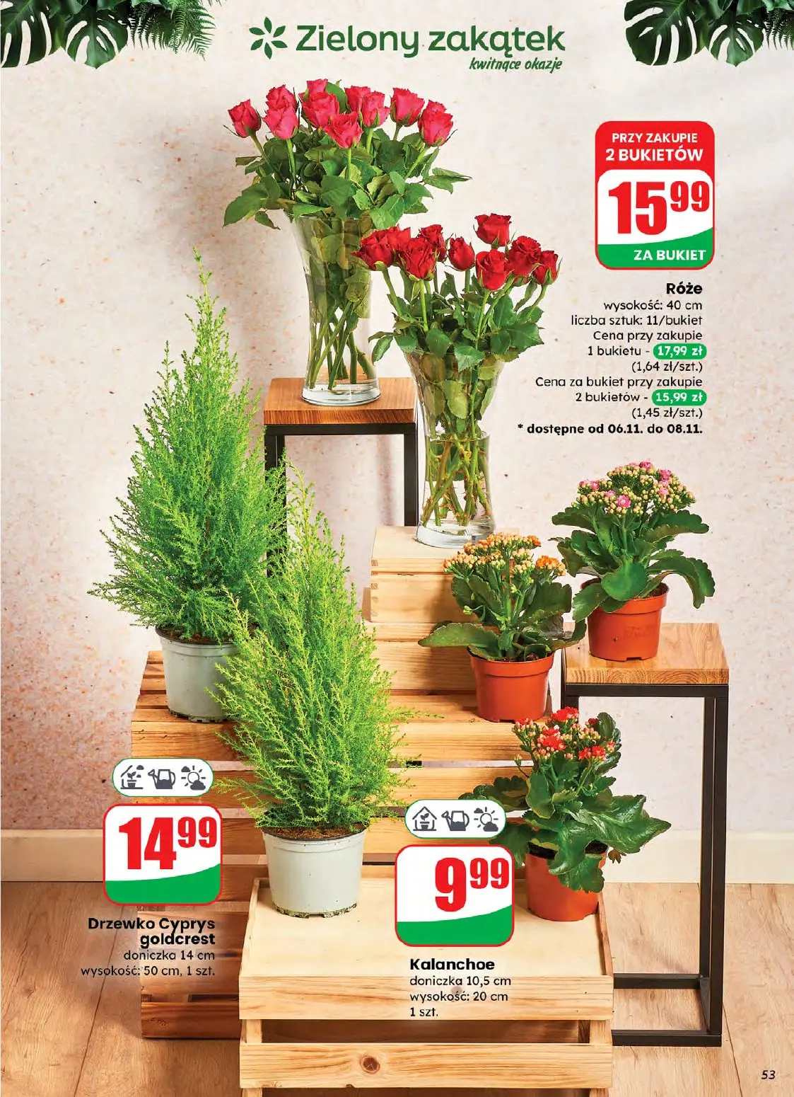 gazetka promocyjna dino Najbliżej Ciebie - Strona 53