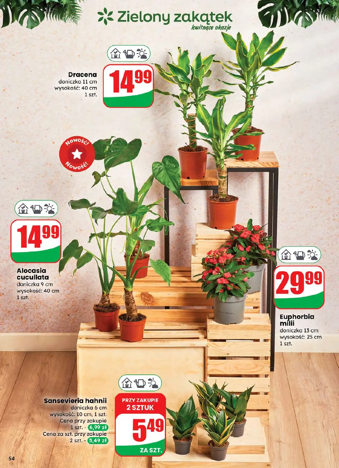 gazetka promocyjna dino Najbliżej Ciebie - Strona 54