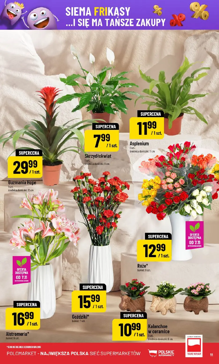 gazetka promocyjna POLOmarket Do Polo po prosto z Polski! - Strona 11