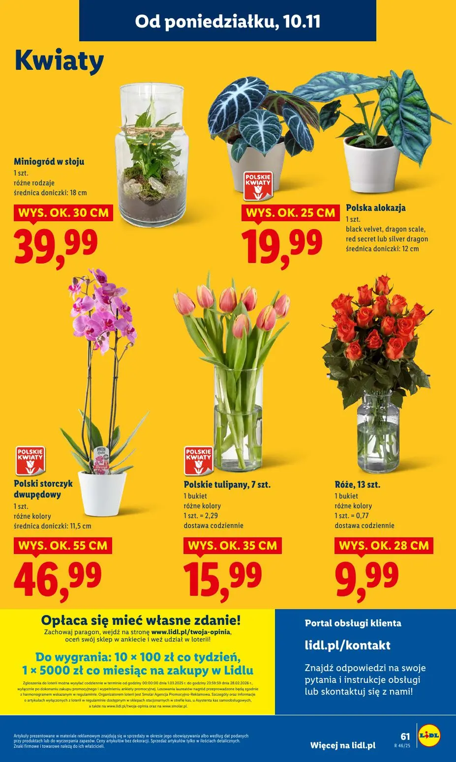 gazetka promocyjna LIDL Od poniedziałku - Strona 63