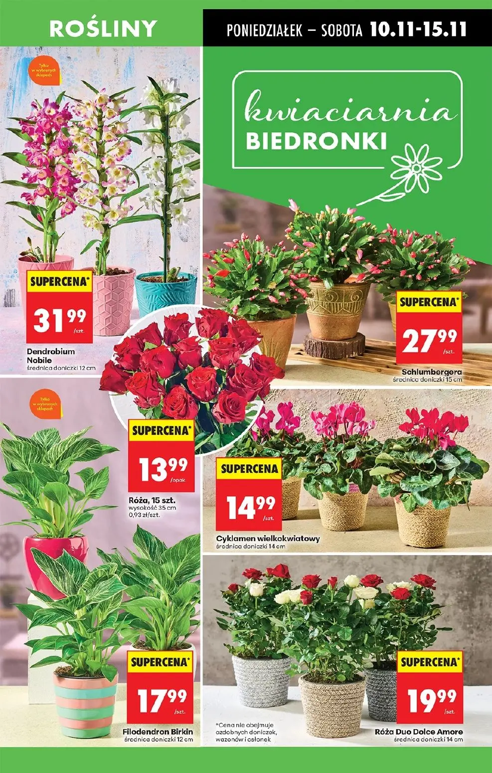 gazetka promocyjna Biedronka Lada tradycyjna. Od poniedziałku  - Strona 19