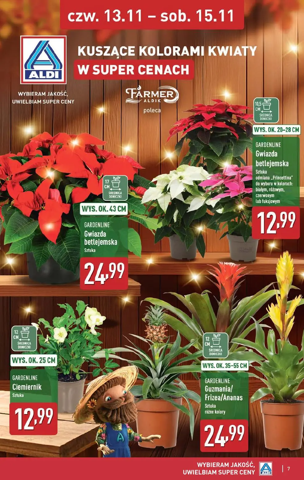 gazetka promocyjna ALDI Weekend super cen - Strona 7