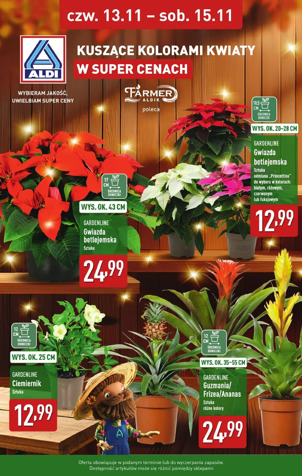 gazetka promocyjna ALDI Kwiaty doniczkowe 🌹 - Strona 1