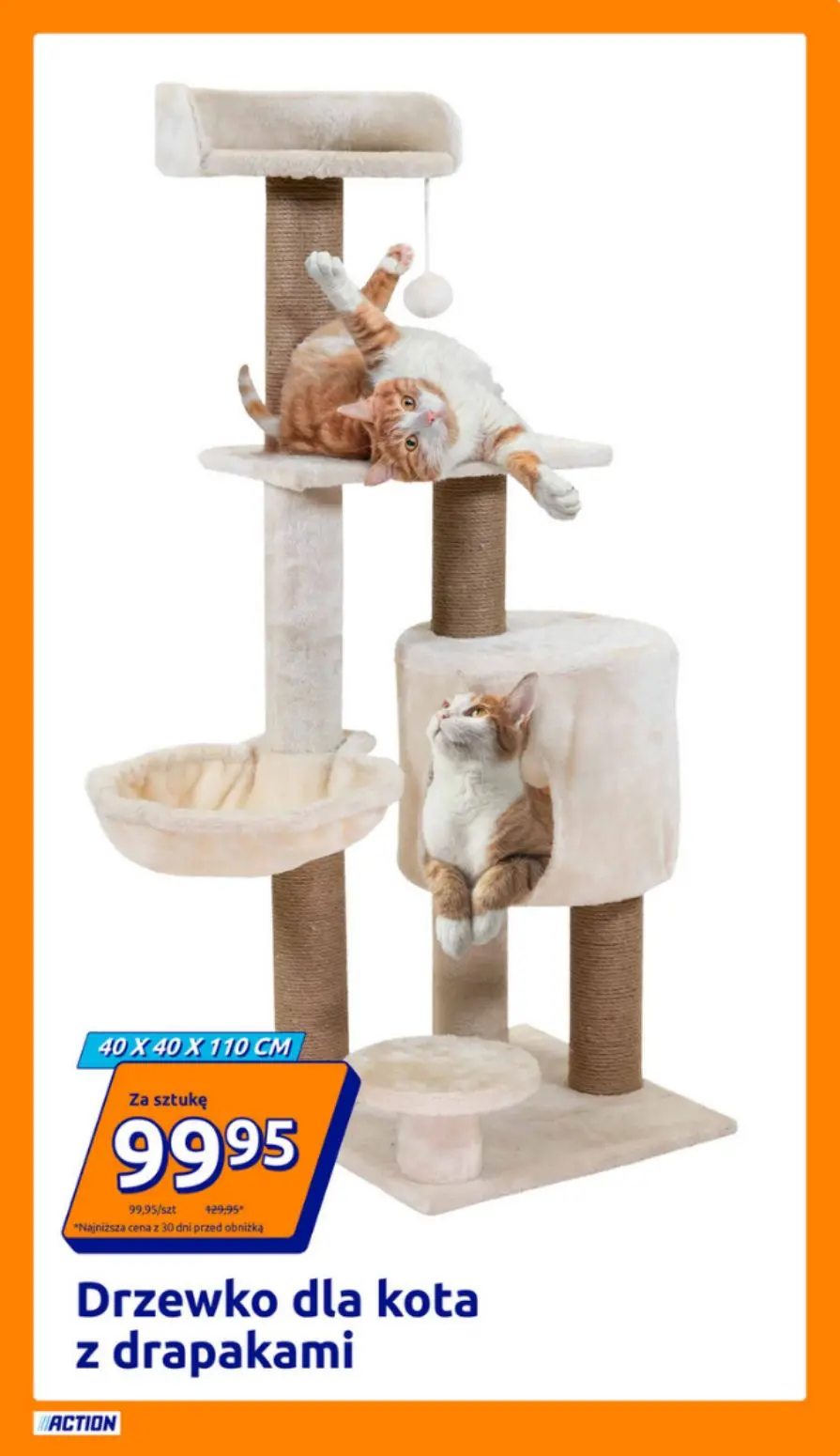 gazetka promocyjna Action Promocje tygodnia - Strona 13