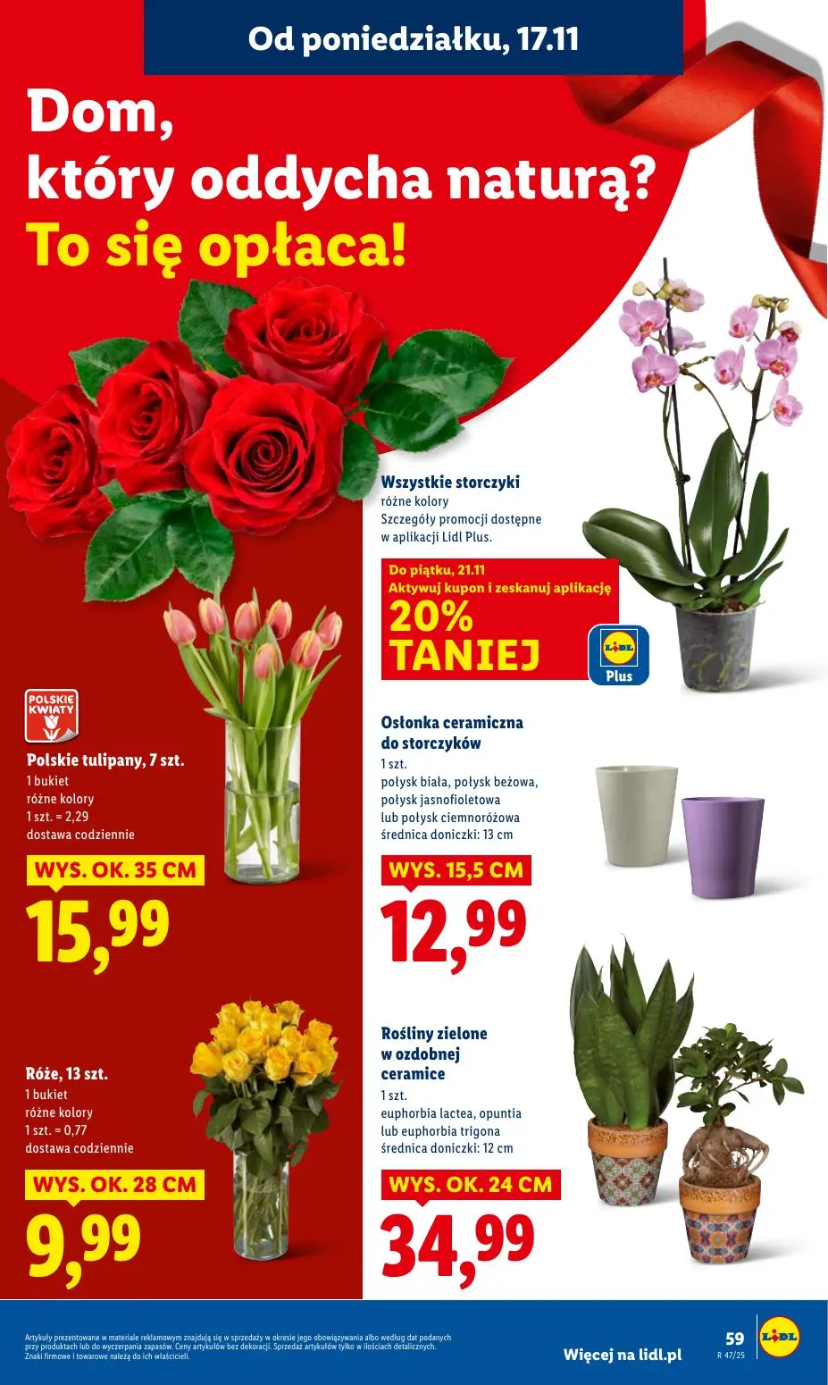 gazetka promocyjna LIDL Od poniedziałku - Strona 59
