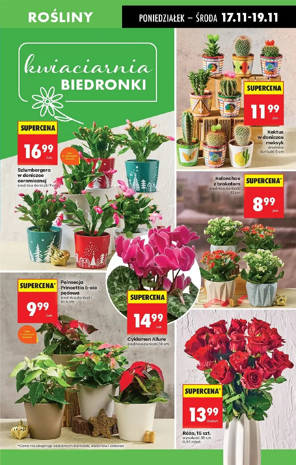 gazetka promocyjna Biedronka Od poniedziałku - Strona 25