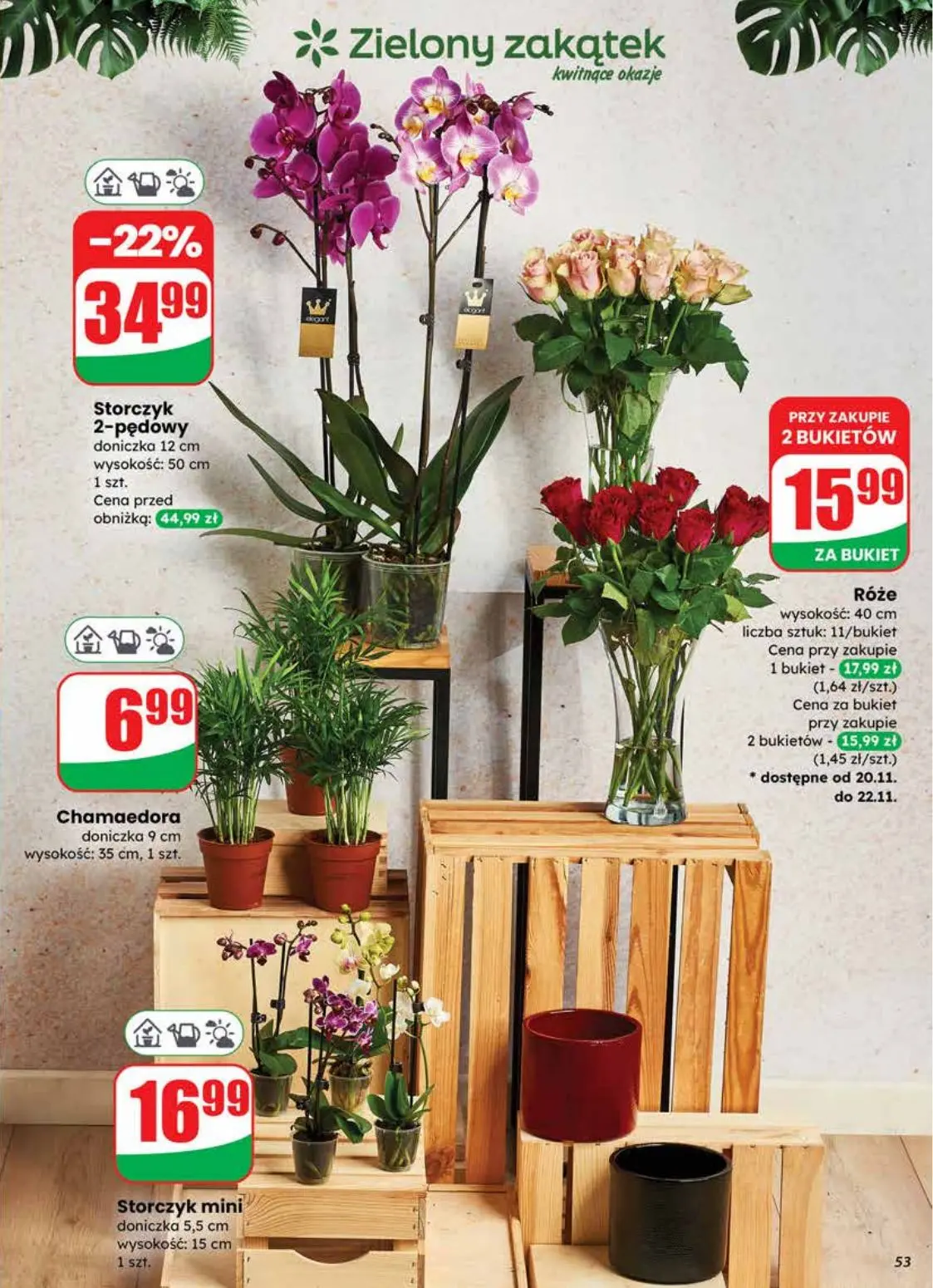 gazetka promocyjna dino Twoje okazje - Strona 53