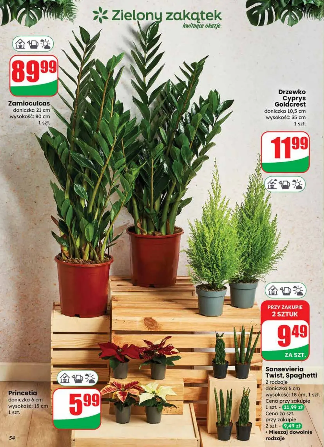 gazetka promocyjna dino Twoje okazje - Strona 54