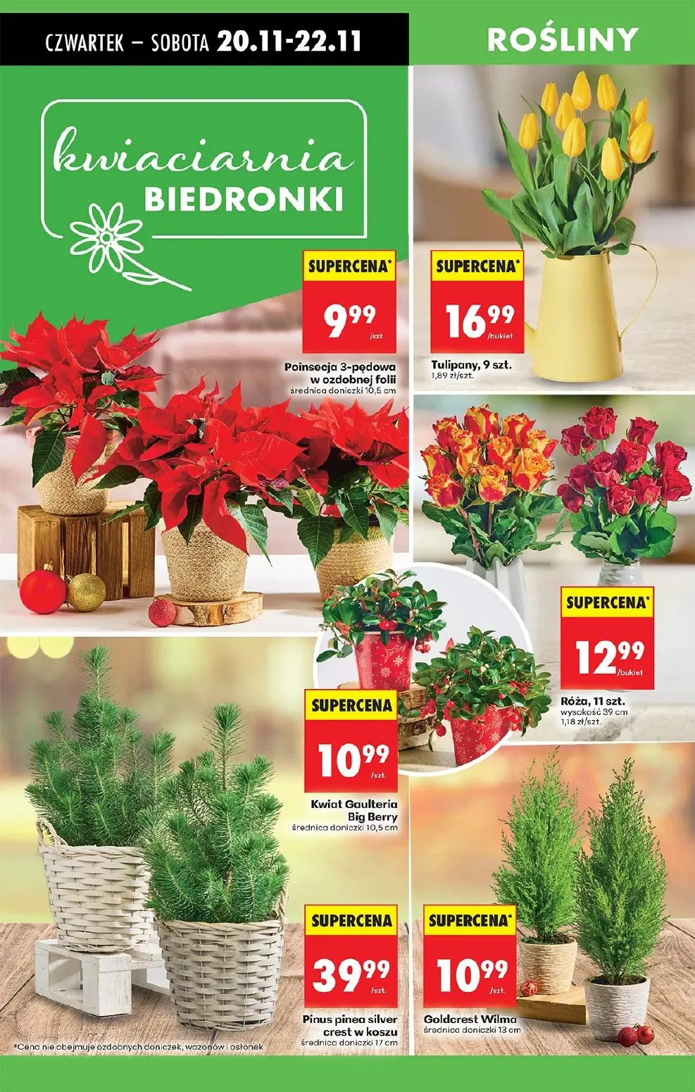 gazetka promocyjna Biedronka Od czwartku - Strona 17