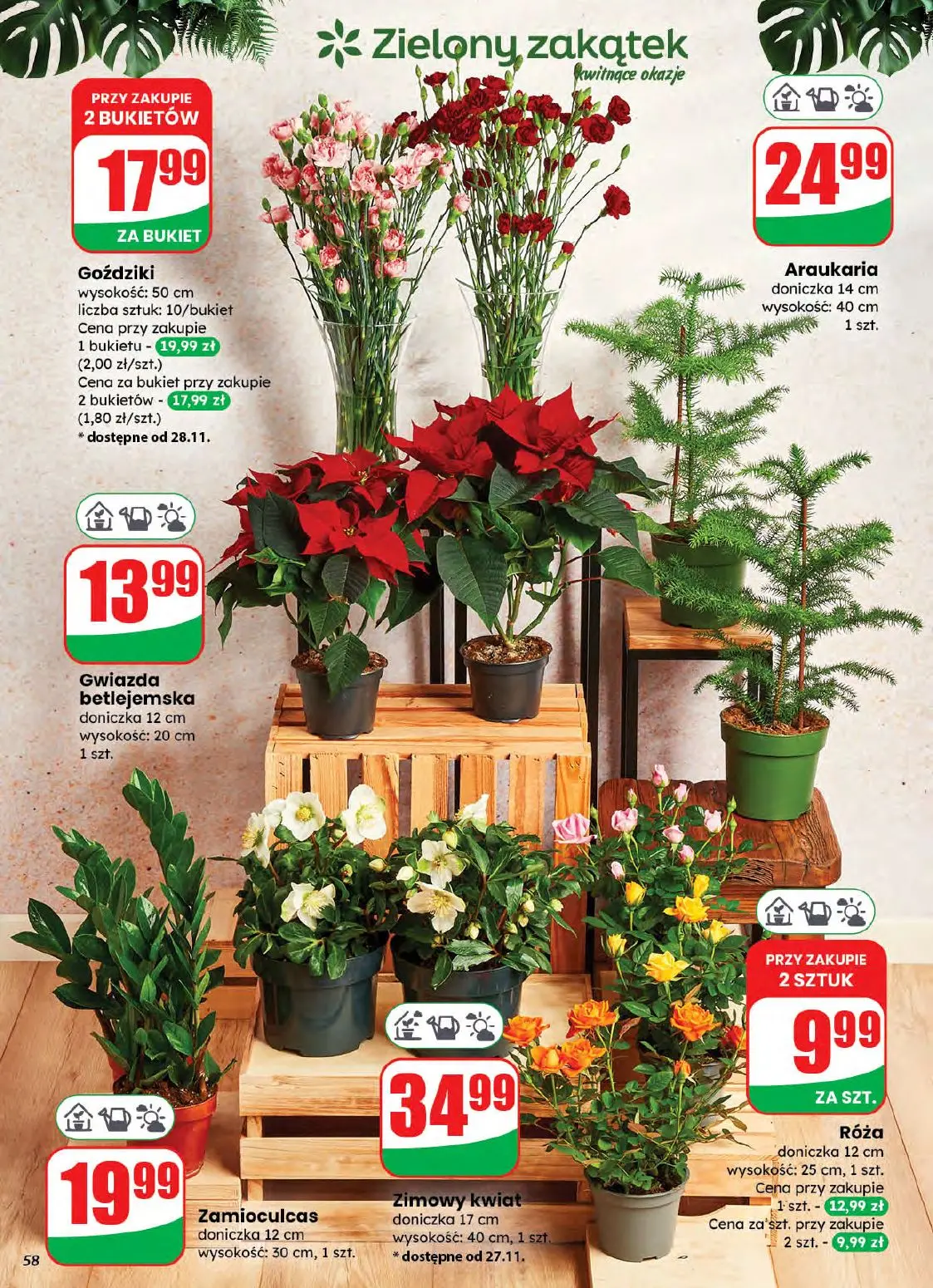 gazetka promocyjna dino Najbliżej Ciebie - Strona 58