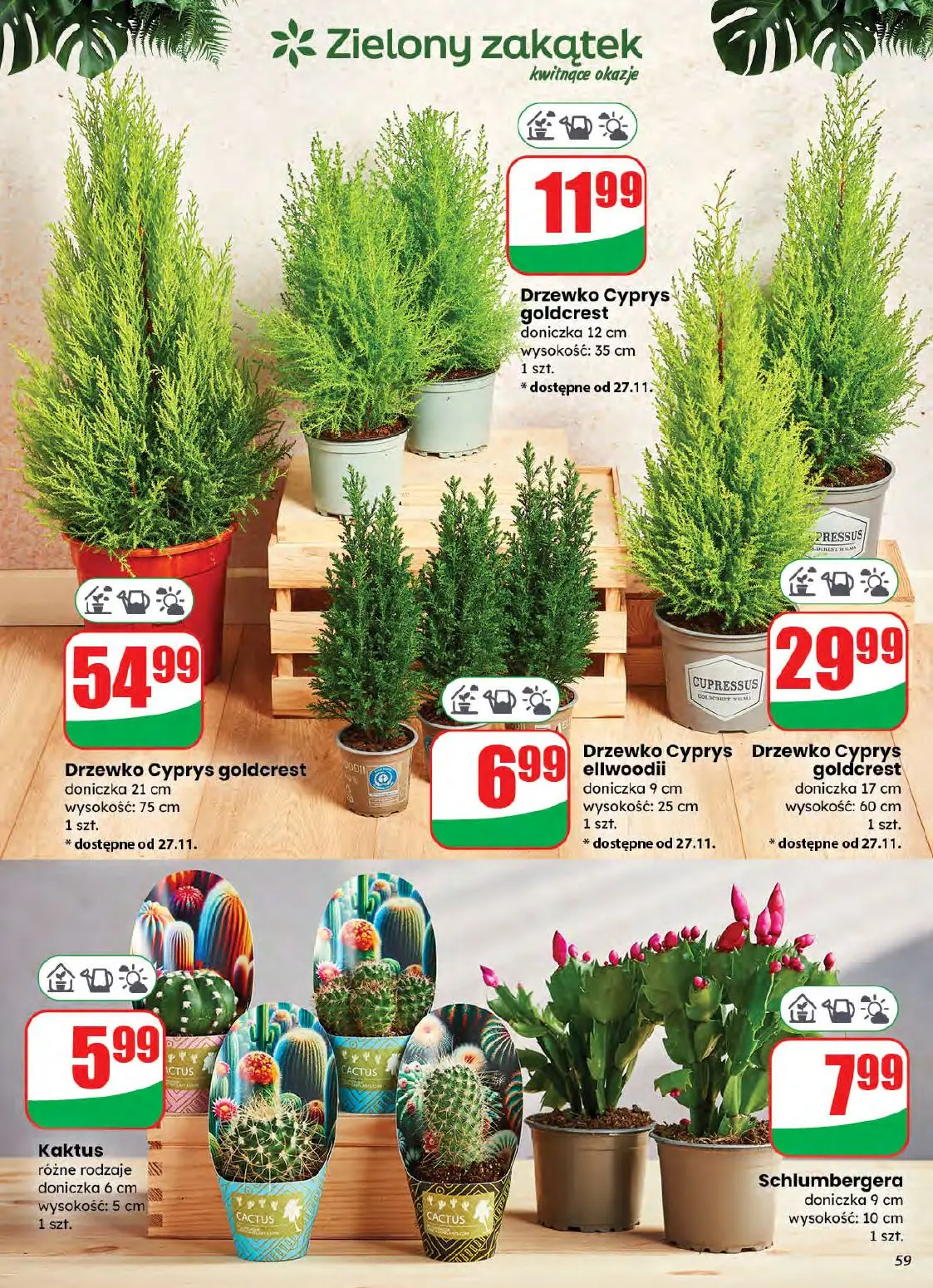 gazetka promocyjna dino Najbliżej Ciebie - Strona 59