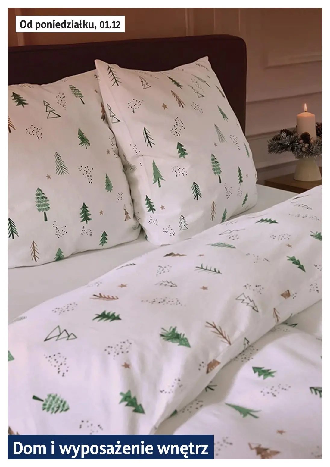 gazetka promocyjna LIDL Lidl plus. Skanujesz - To się opłaca - Strona 14