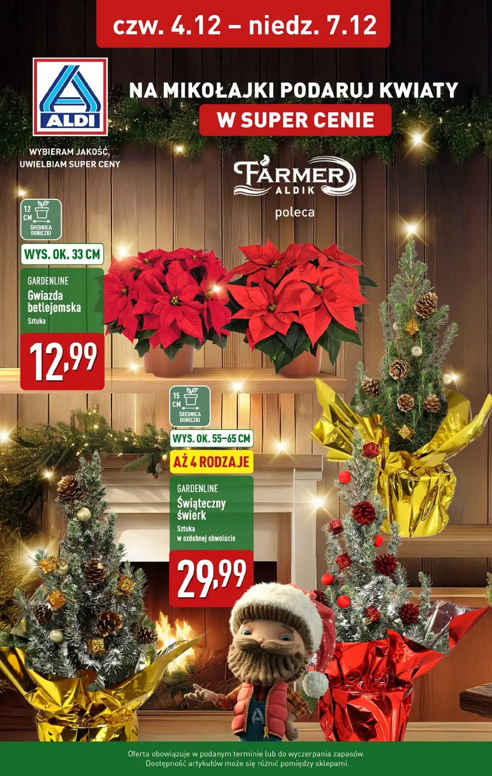 gazetka promocyjna ALDI Farmer Aldik poleca gwiazdę betlejemską 🪴 - Strona 1