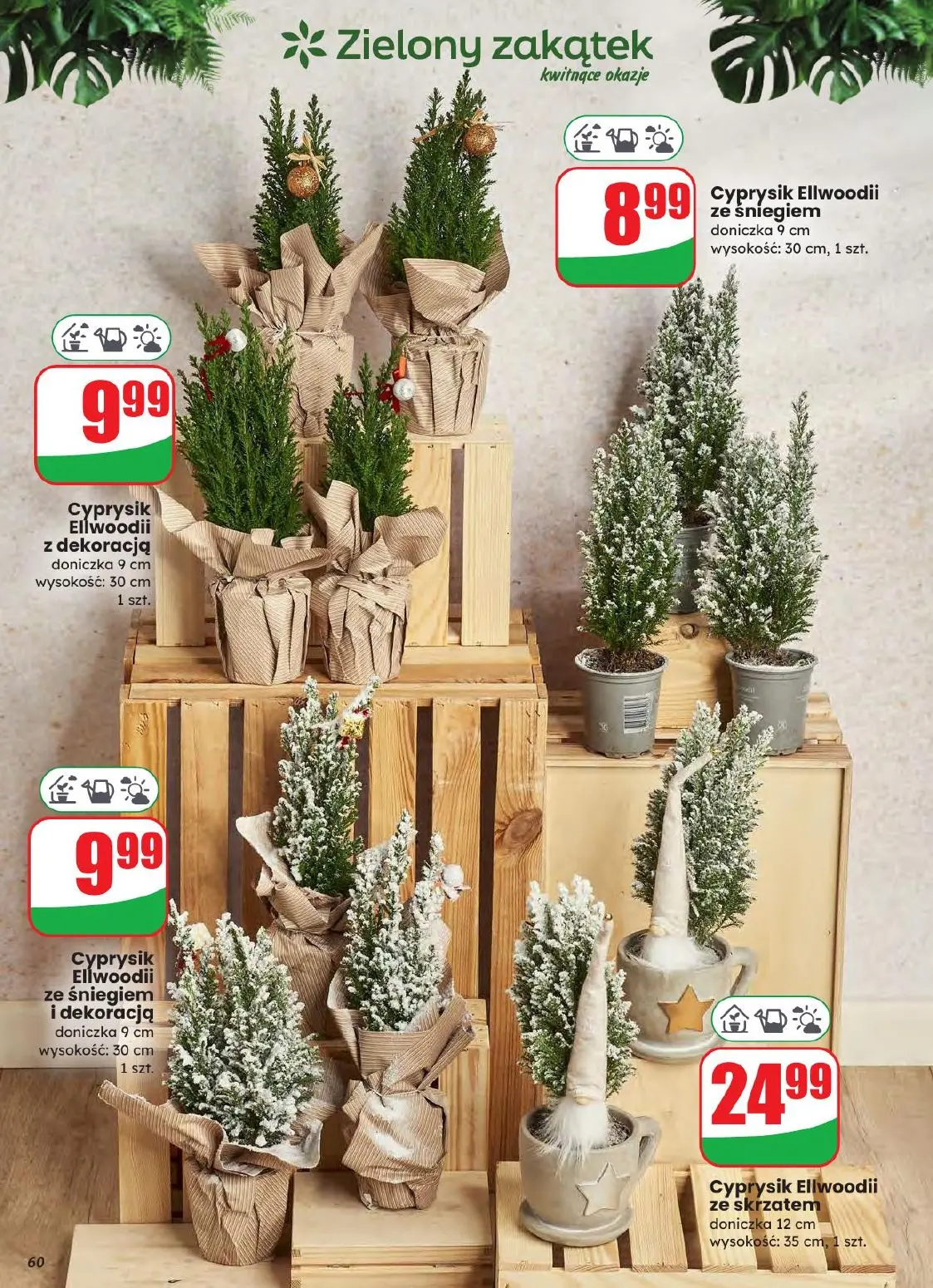 gazetka promocyjna dino Najbliżej Ciebie - Strona 60