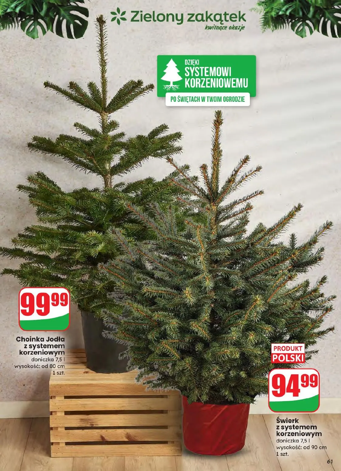 gazetka promocyjna dino Najbliżej Ciebie - Strona 61