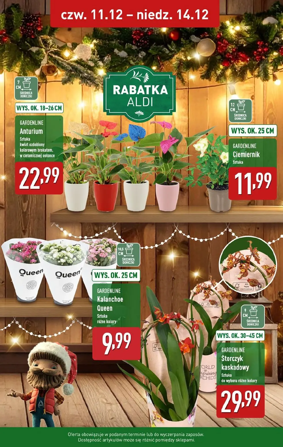 gazetka promocyjna ALDI Nowa gazetka ALDI - Strona 39