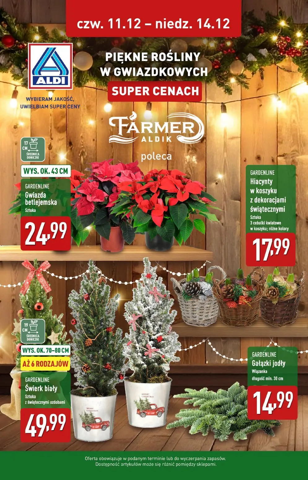 gazetka promocyjna ALDI Farmer Aldik poleca rośliny doniczkowe 🪴 - Strona 1