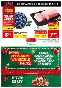 Gazetka promocyjna Biedronka, ważna od 2025-12-11 do 2025-12-14.