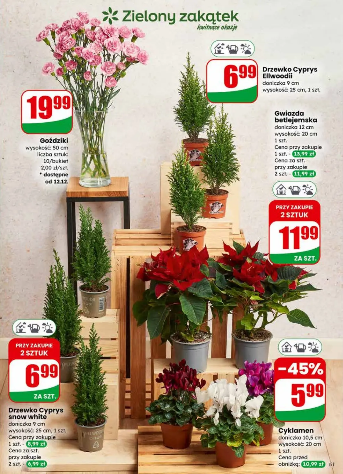 gazetka promocyjna dino - Strona 61