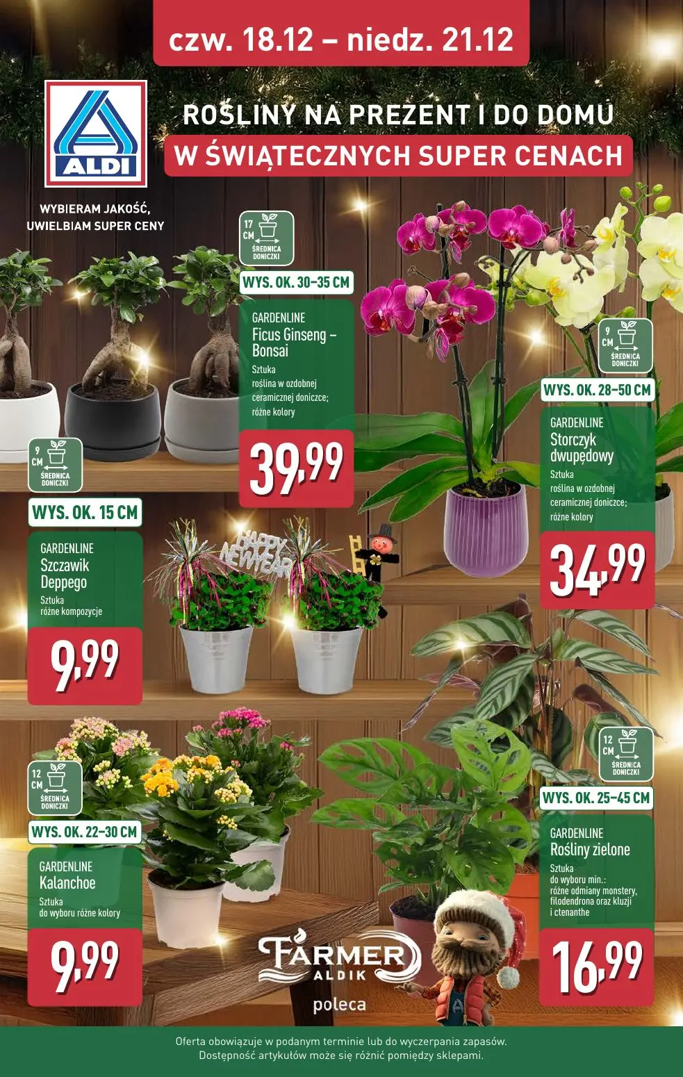 gazetka promocyjna ALDI - Strona 37