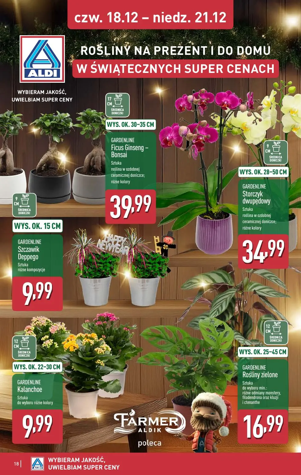 gazetka promocyjna ALDI WEEKEND już od czwartku! - Strona 18