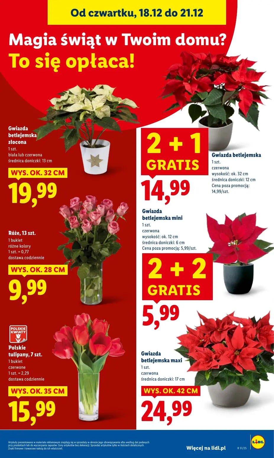 gazetka promocyjna LIDL Od czwartku - Strona 33