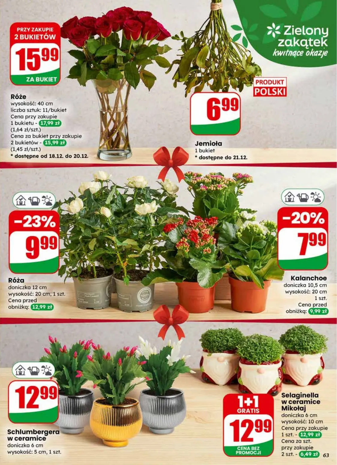 gazetka promocyjna dino Najbliżej Ciebie - Strona 63