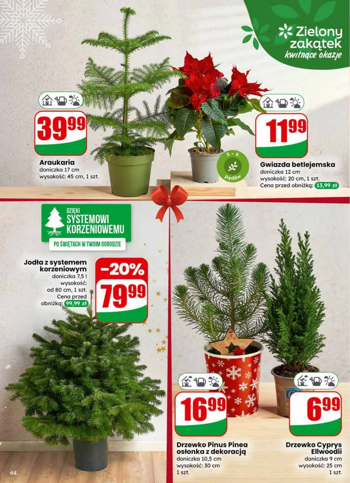 gazetka promocyjna dino Najbliżej Ciebie - Strona 64