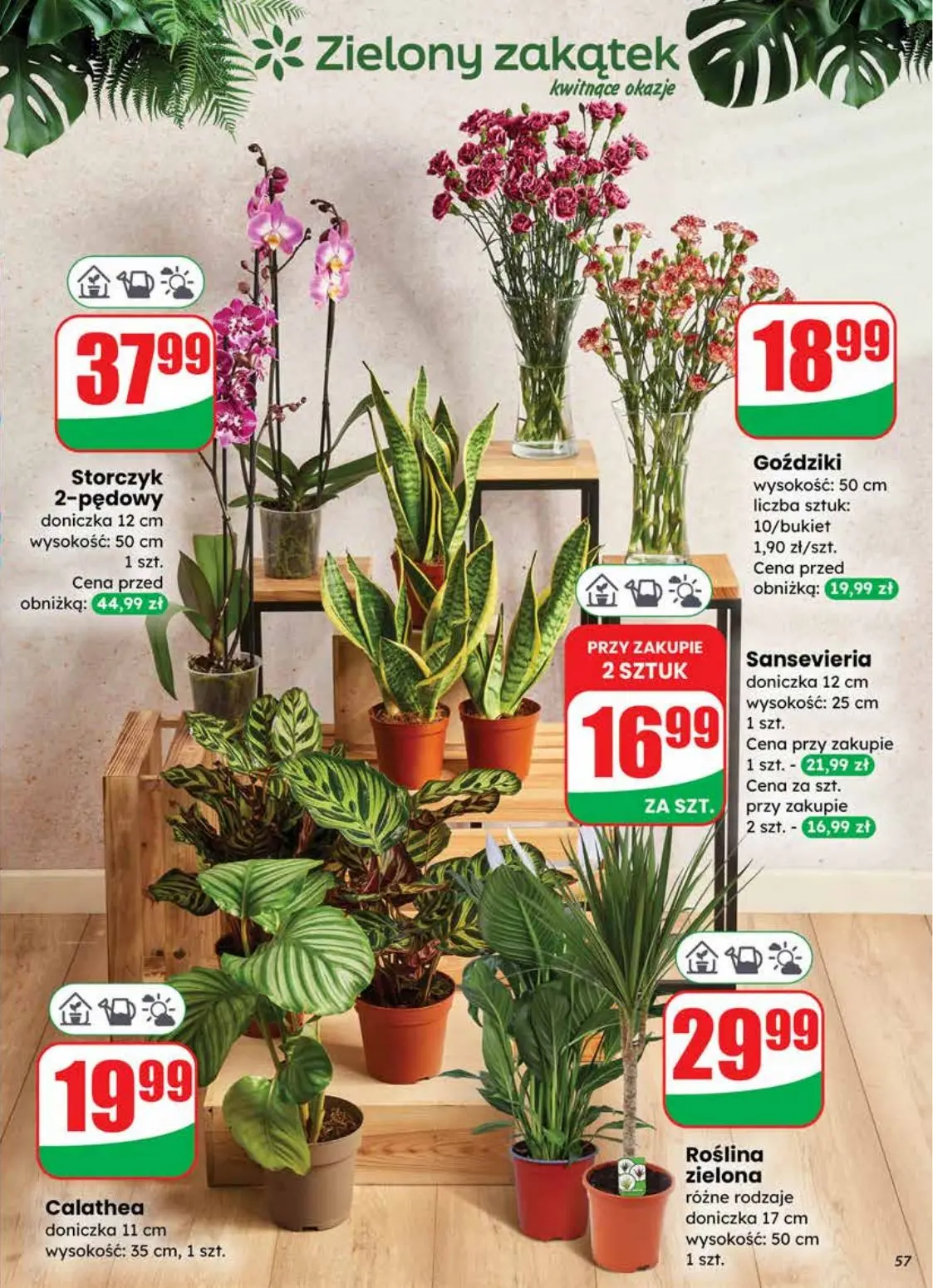 gazetka promocyjna dino Oferta na Nowy Rok - Strona 57