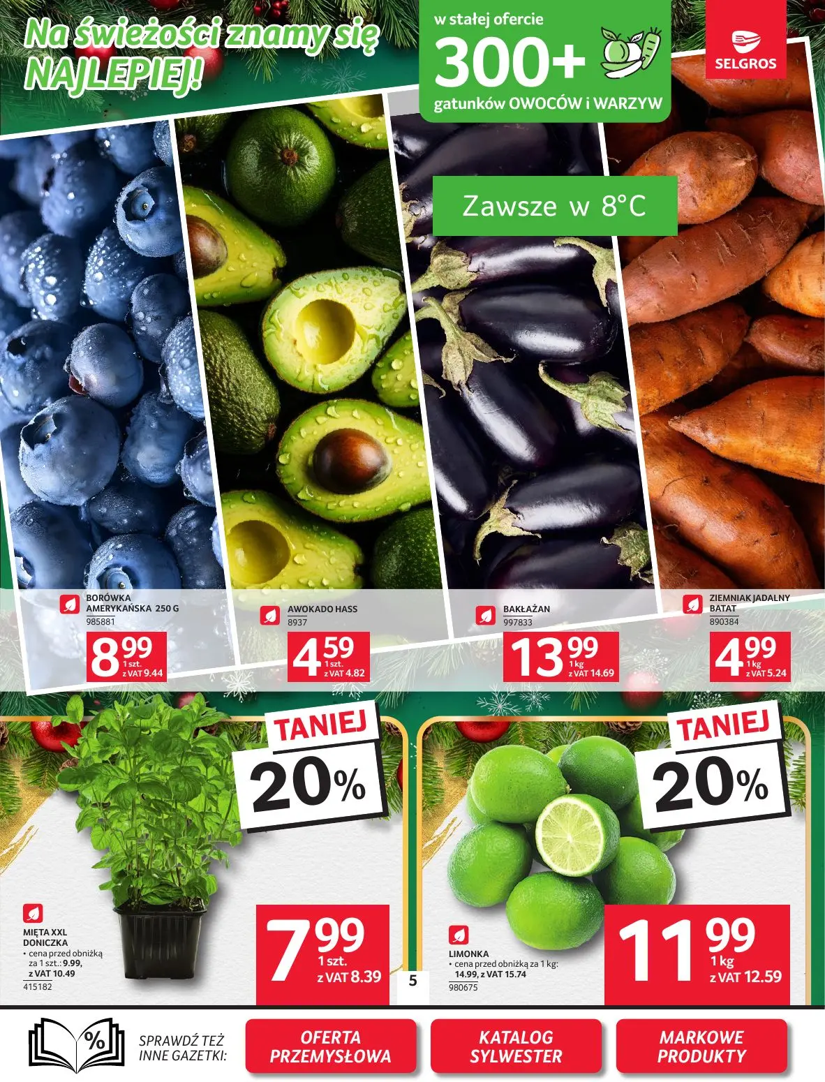 gazetka promocyjna SELGROS Oferta Spożywcza - Strona 5