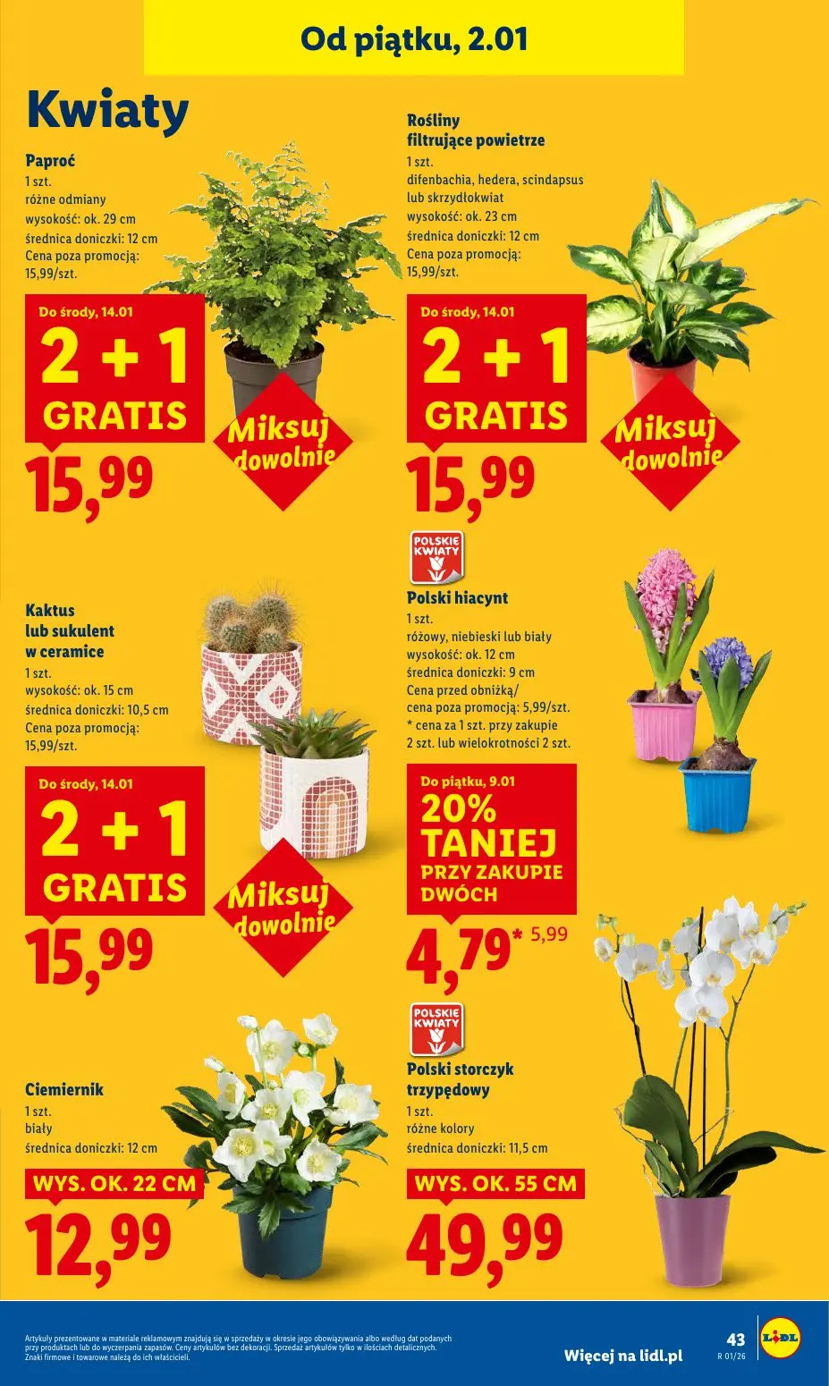 gazetka promocyjna LIDL Od piątku - Strona 45