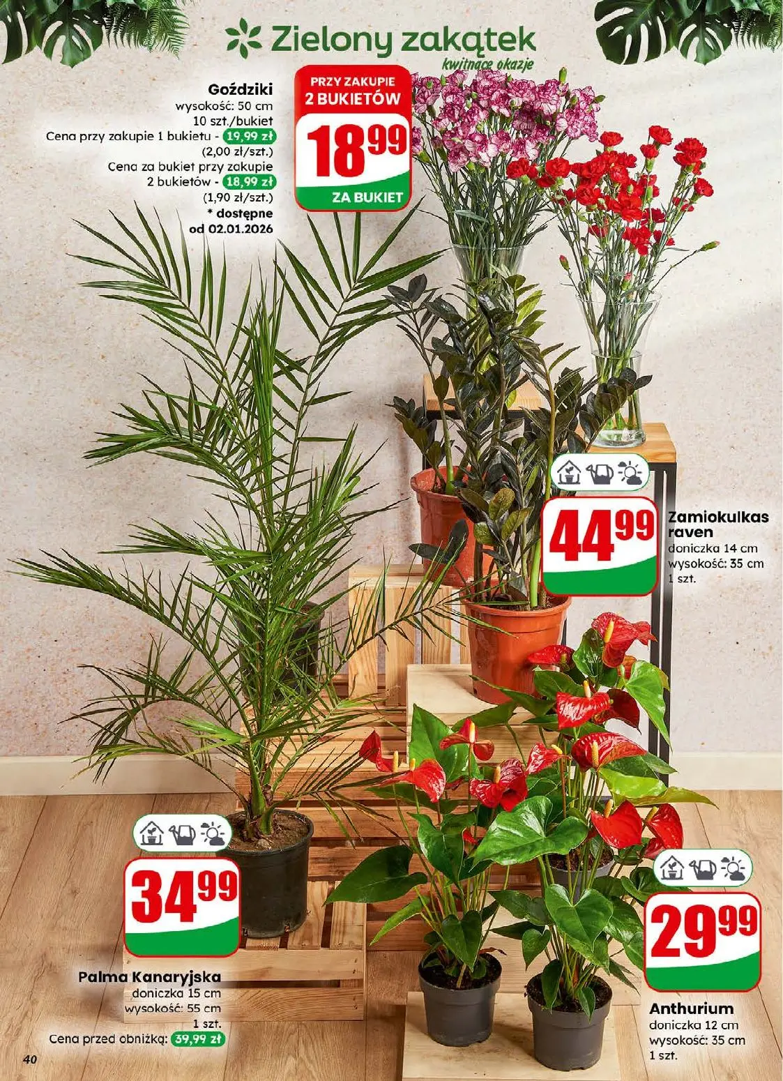 gazetka promocyjna dino Najbliżej Ciebie - Strona 40