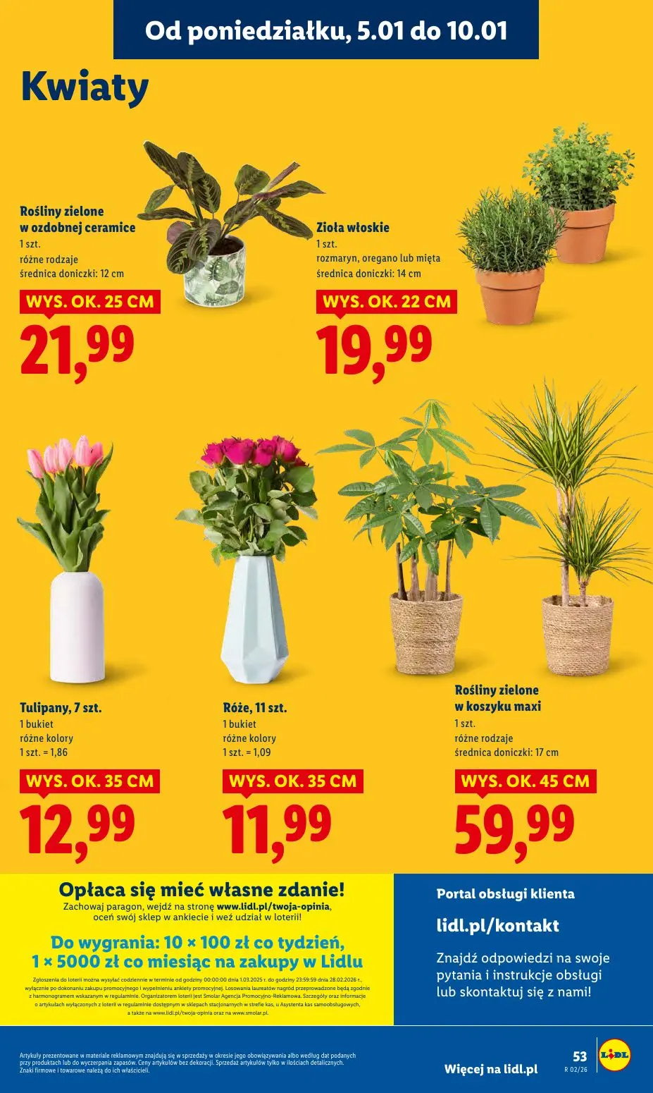 gazetka promocyjna LIDL Od poniedziałku - Strona 55