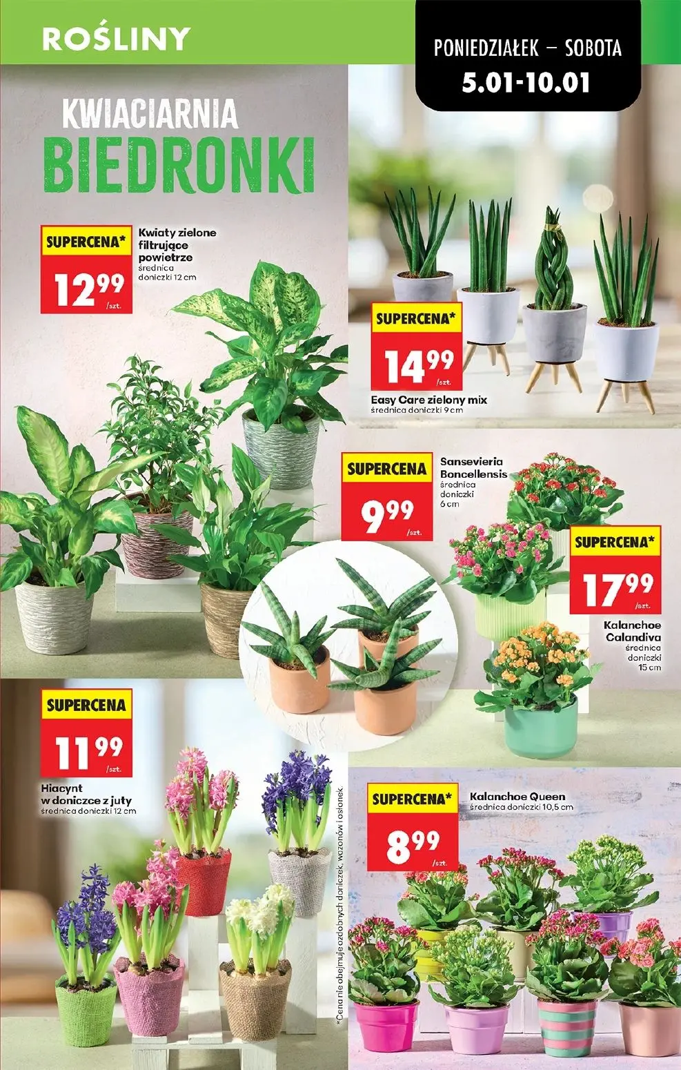 gazetka promocyjna Biedronka Lada tradycyjna. Od poniedziałku  - Strona 23