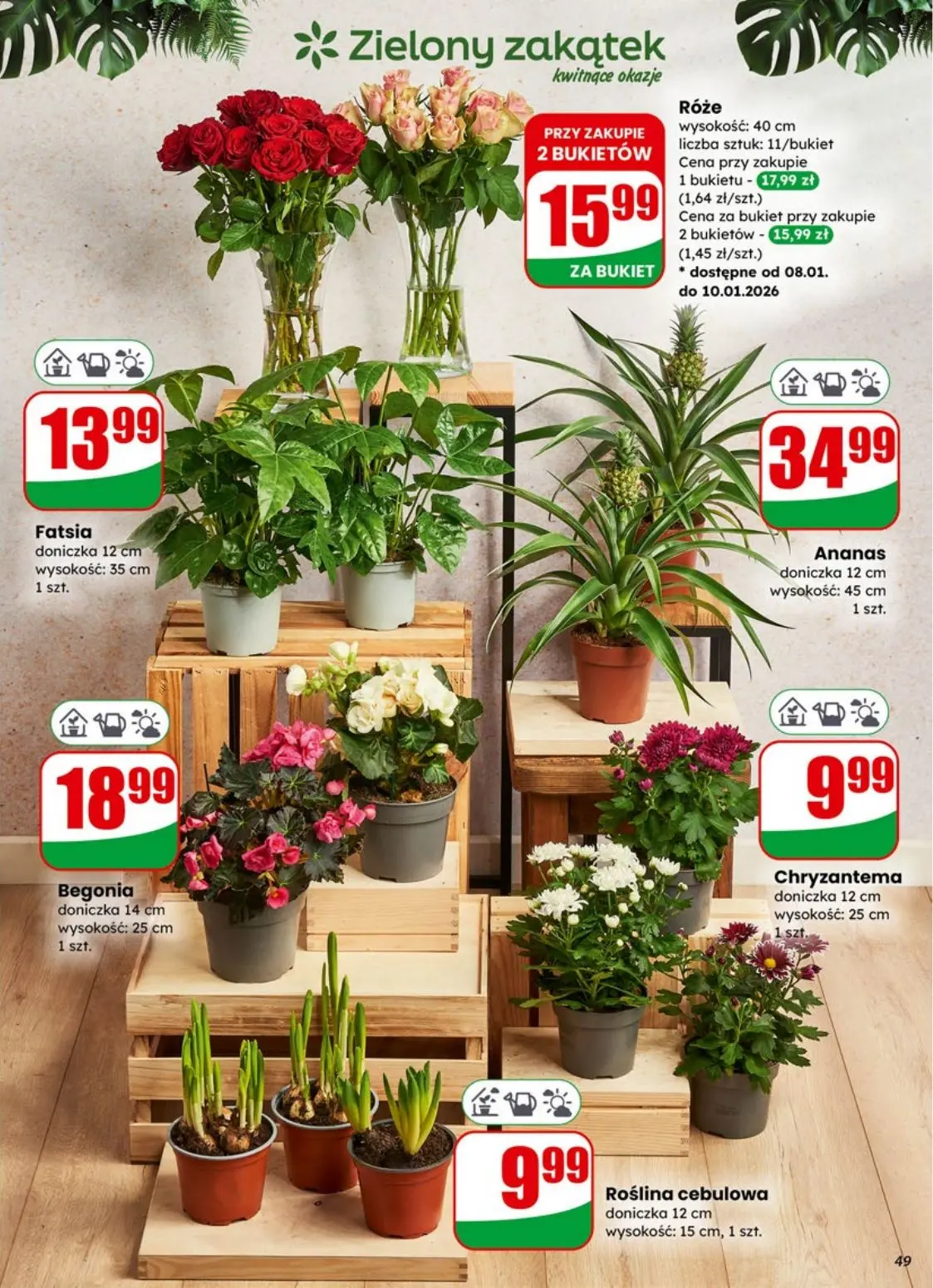 gazetka promocyjna dino Najbliżej Ciebie - Strona 49