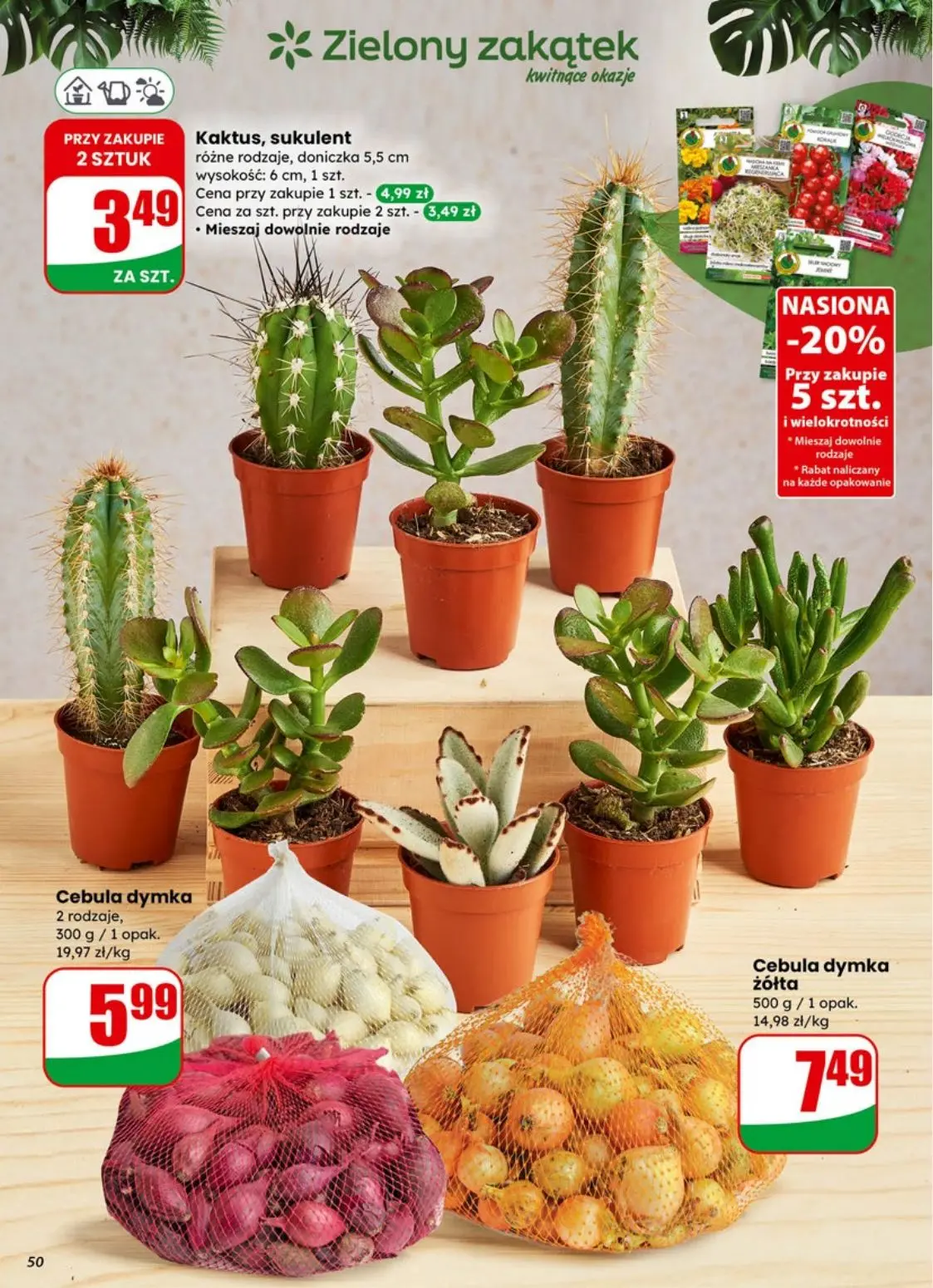 gazetka promocyjna dino Najbliżej Ciebie - Strona 50