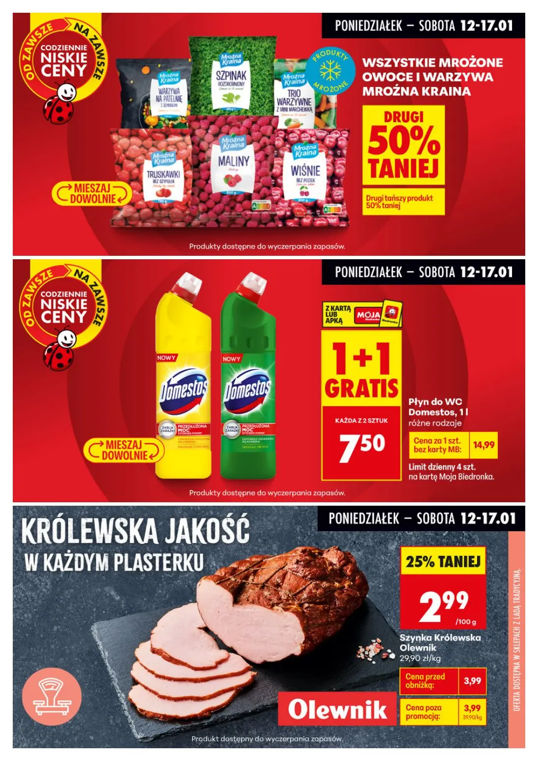 gazetka promocyjna Biedronka Biedronkowe oszczędności - Strona 13