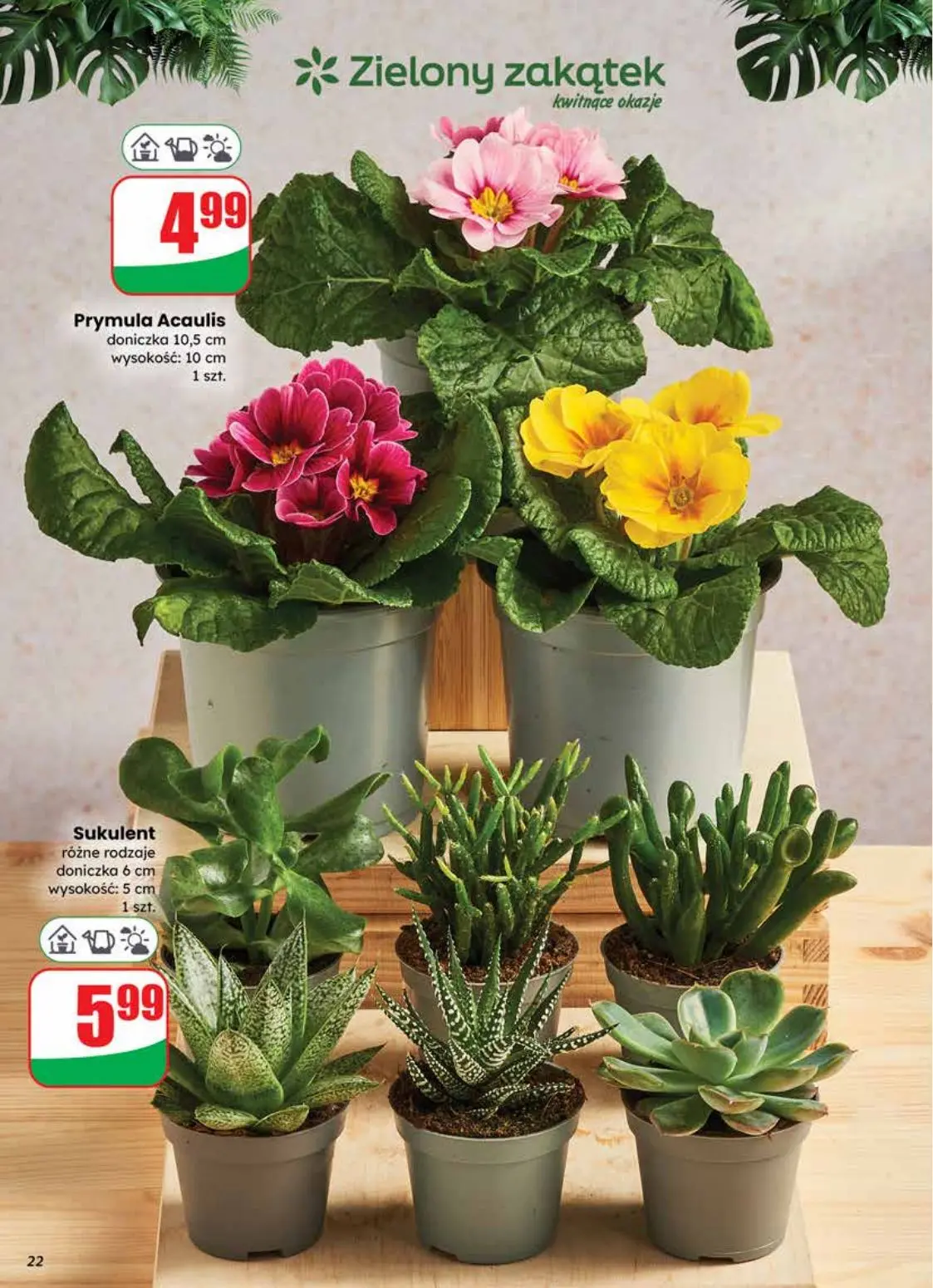 gazetka promocyjna dino Najbliżej Ciebie - Strona 22