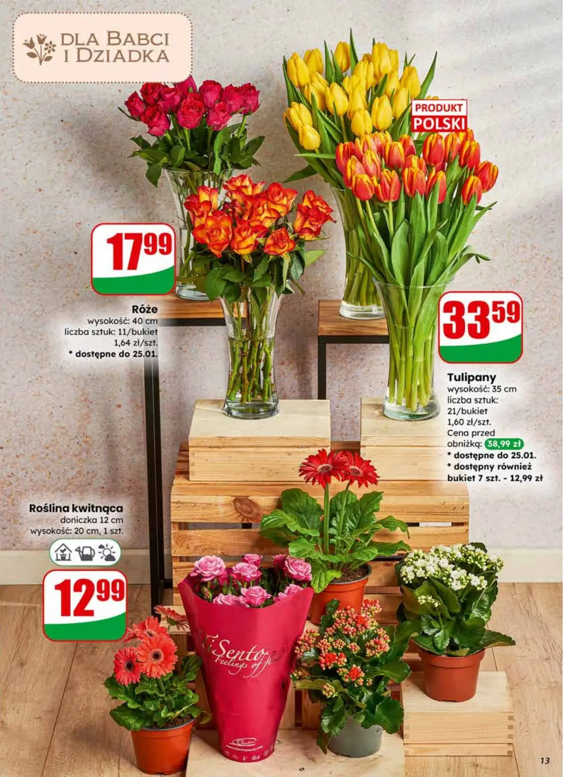 gazetka promocyjna dino Najbliżej Ciebie - Strona 13