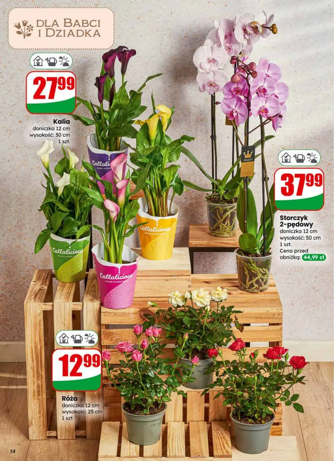 gazetka promocyjna dino Najbliżej Ciebie - Strona 14