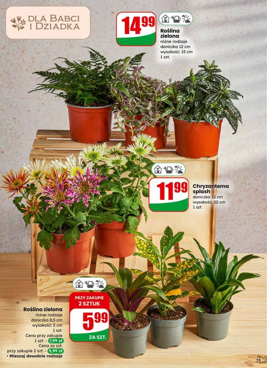 gazetka promocyjna dino Najbliżej Ciebie - Strona 15