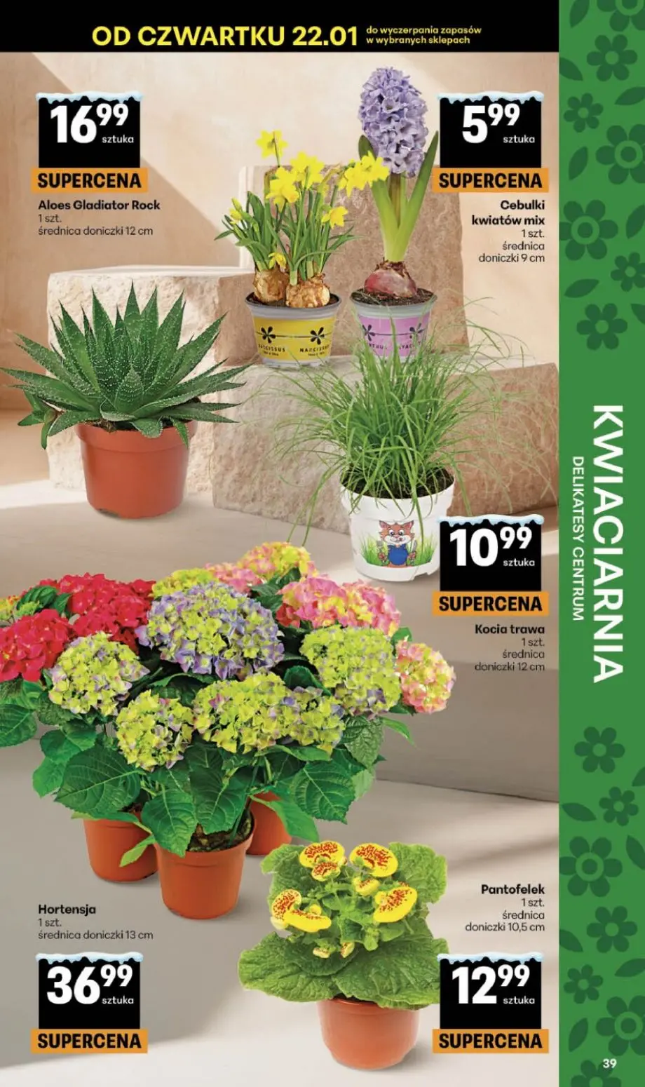 gazetka promocyjna Delikatesy Centrum Od czwartku - Strona 39